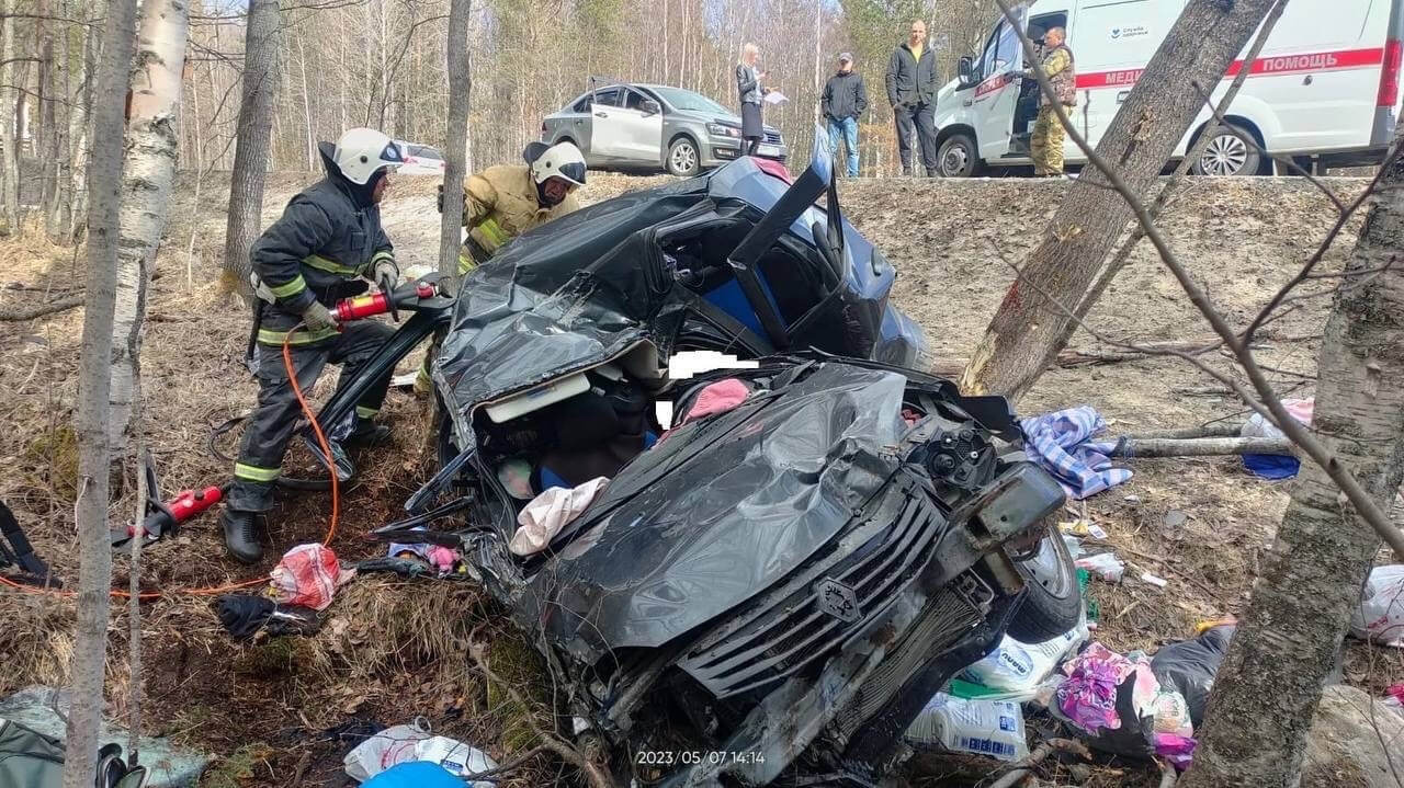 Фото: пресс-служба МЧС Карелии