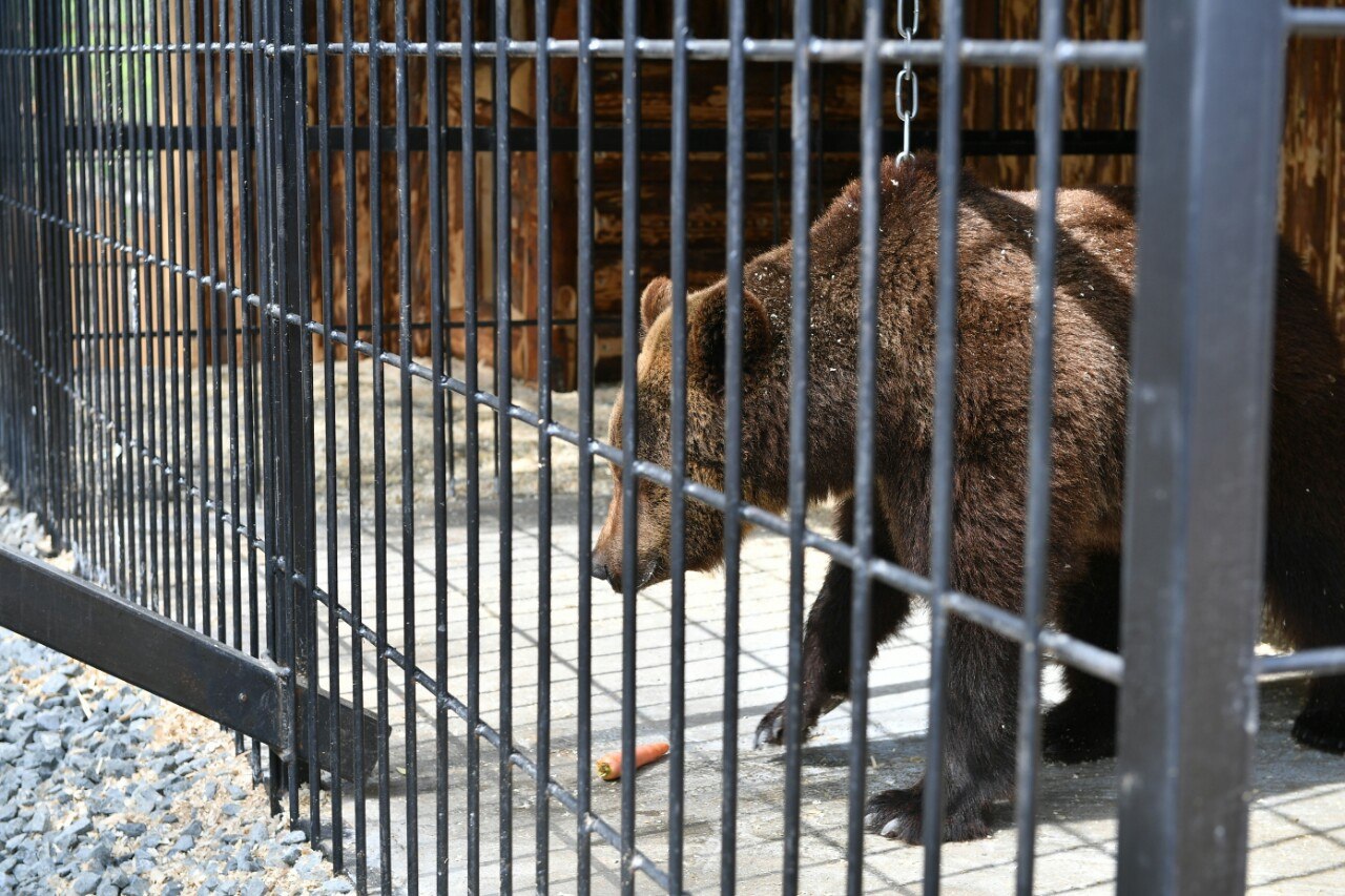 Фото: ИА Республика