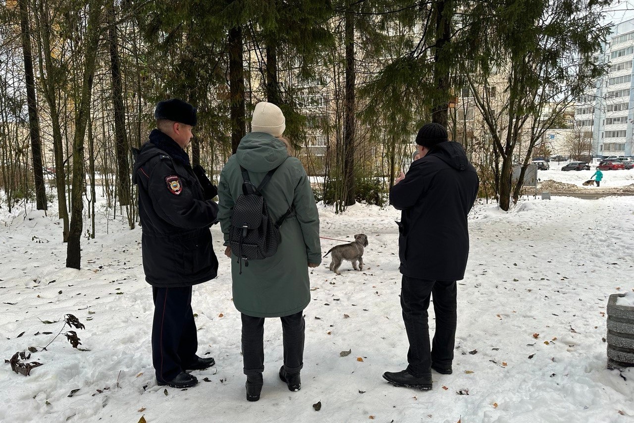 Фото: администрация Петрозаводска