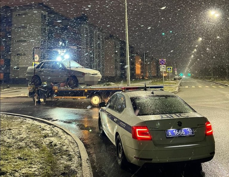 Фото: Госавтоинспекция Петрозаводска