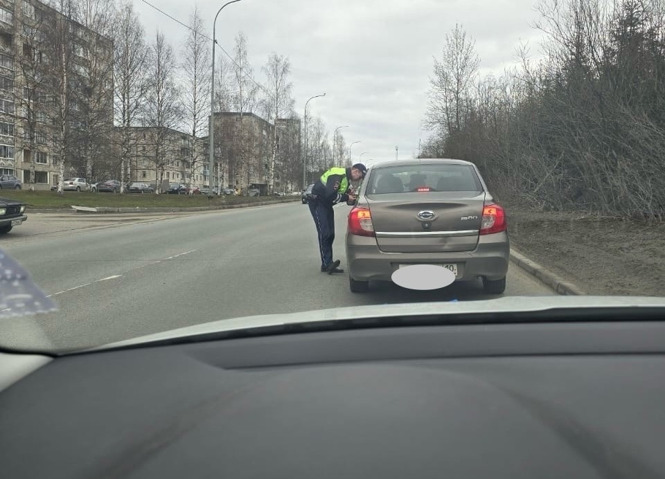 Фото: Госавтоинспекция Петрозаводска