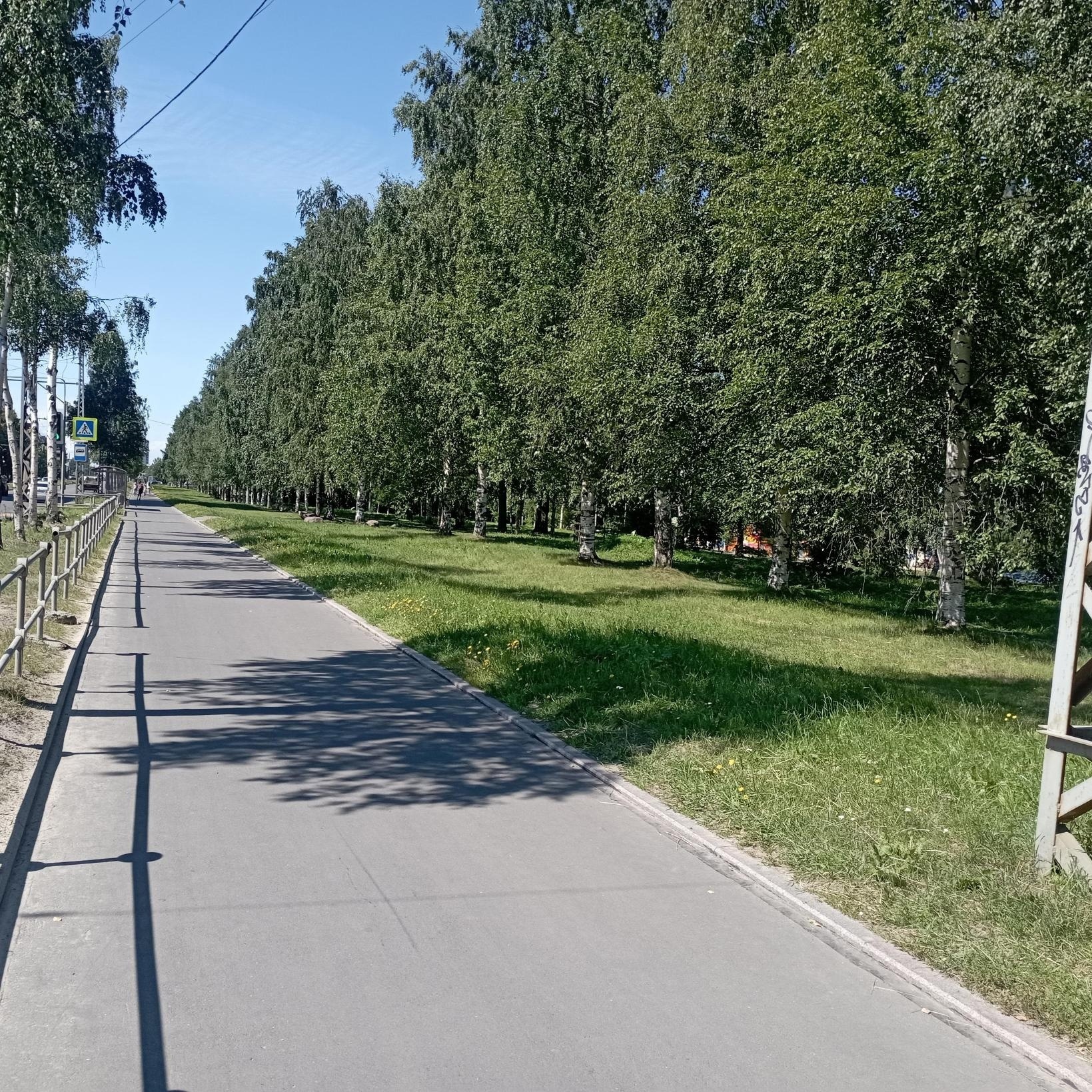Фото: Госавтоинспекция Петрозаводска