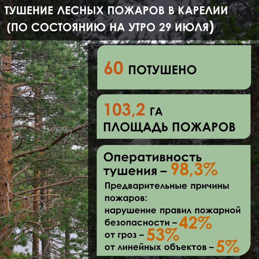 Фото: Минприроды Карелии