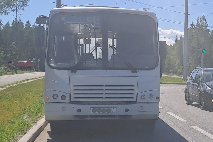 Фото: Госавтоинспекция Карелии