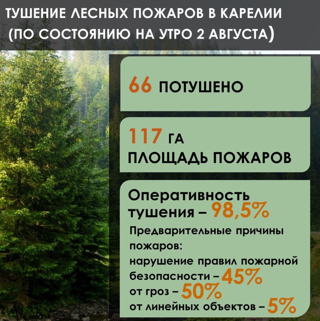 Фото: Минприроды Карелии