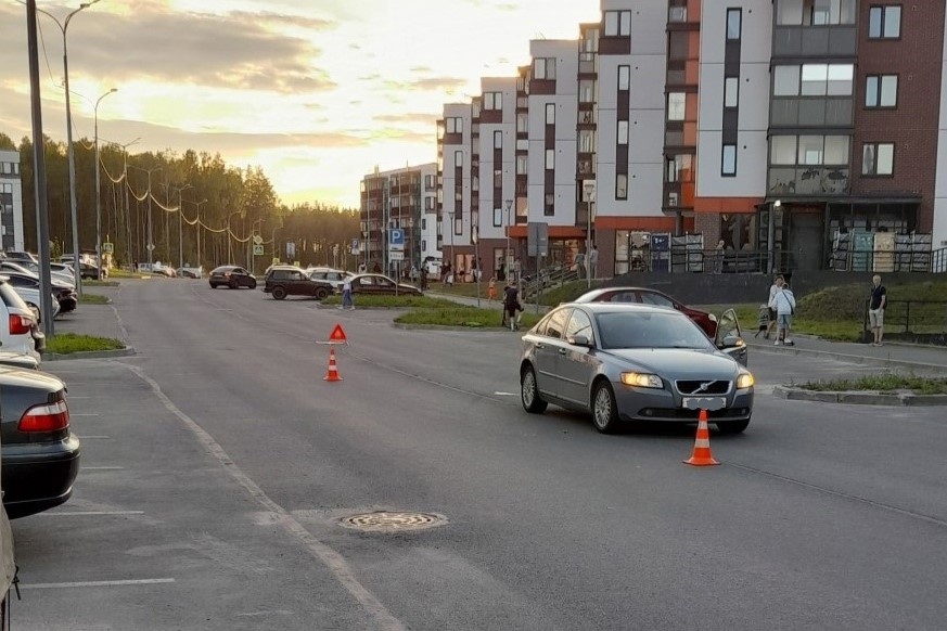Фото: Госавтоинспекция Петрозаводска