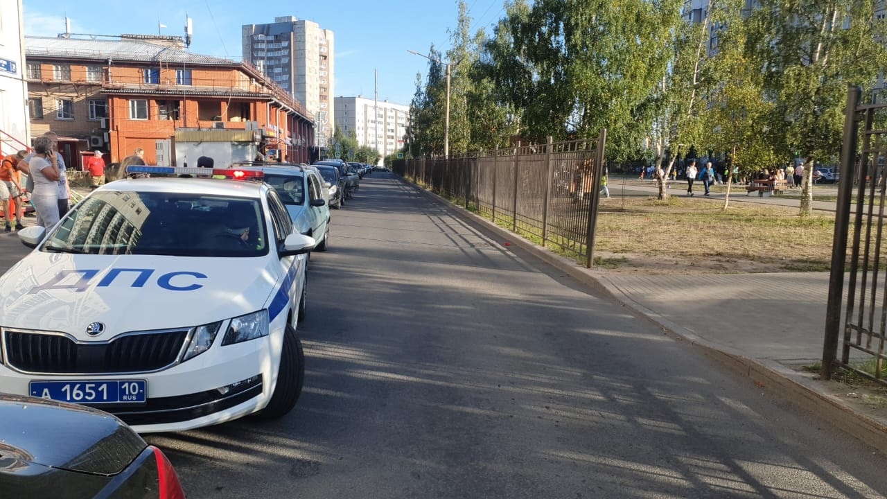 Фото: Госавтоинспекция Карелии