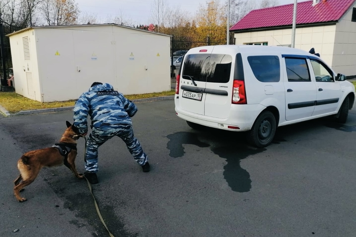Фото: Центр спортивной подготовки