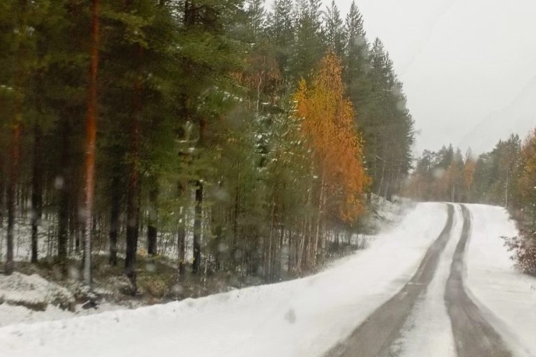 Фото: Раиса Тупина