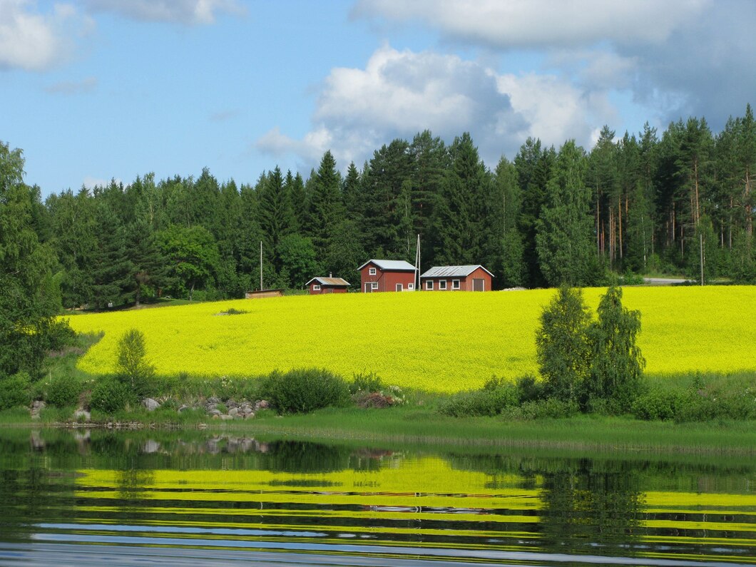 Фото: ru.freepik.com