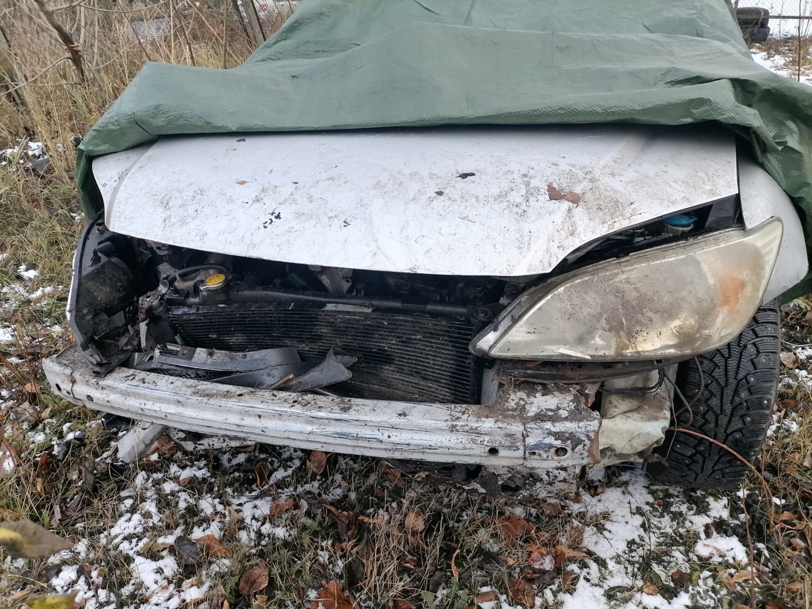 Фото: Госавтоинспекция Карелии/ВК