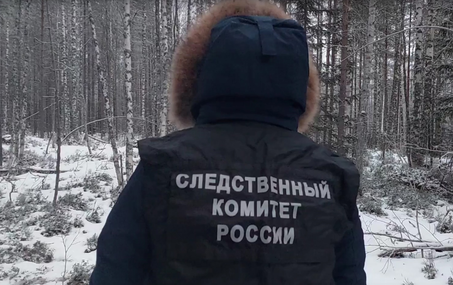 Фото: скриншот с видео Следственного комитета