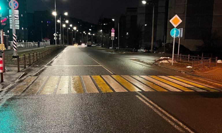 Фото: Госавтоинспекция Петрозаводска