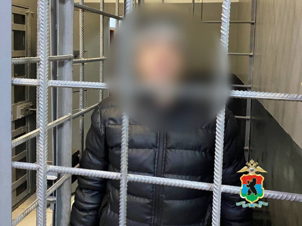 Фото: Госавтоинспекция Петрозаводска