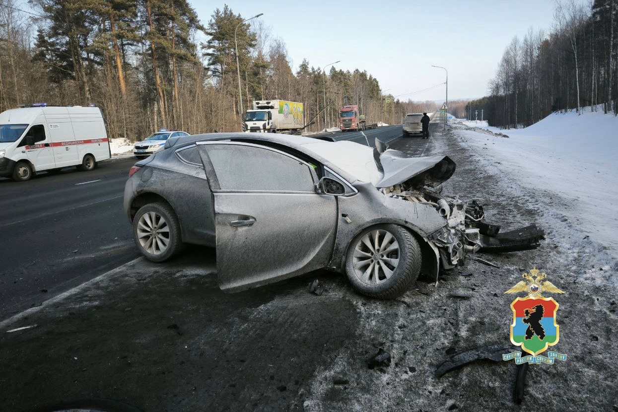 Фото: Полиция Карелии / ТГ