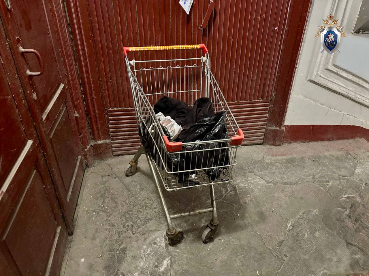 Фото: ГСУ СК России по Санкт-Петербургу / ТГ