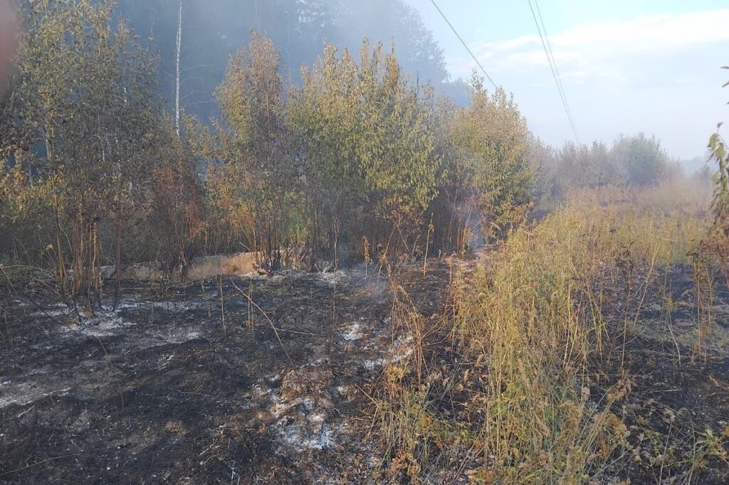 Пожар в районе ЛЭП произошел в Карелии