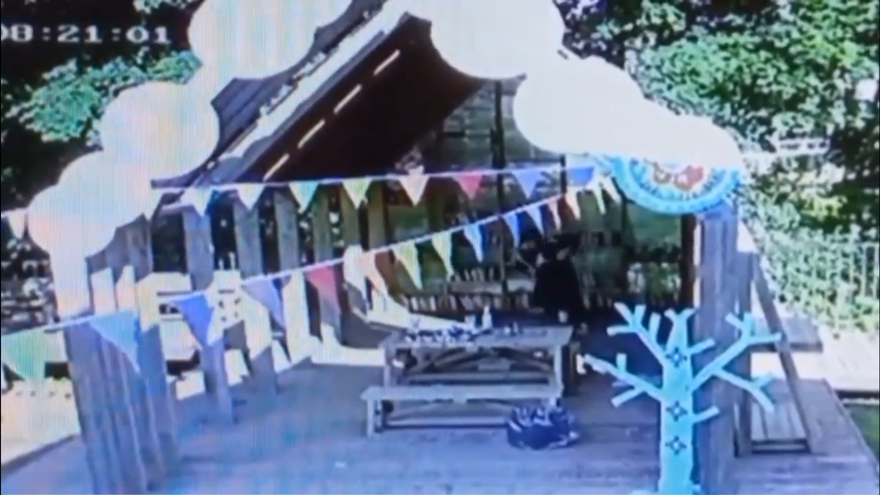 Фото: скриншот из видео