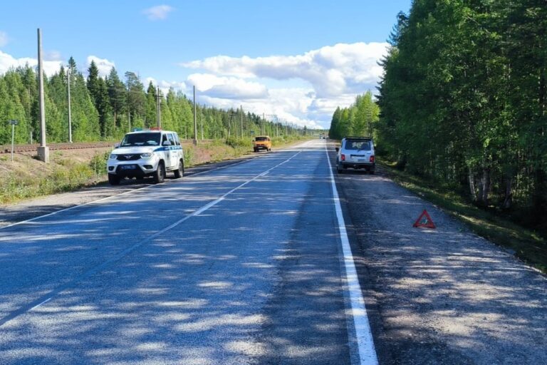 Женщину, идущую по обочине, сбили насмерть в Карелии