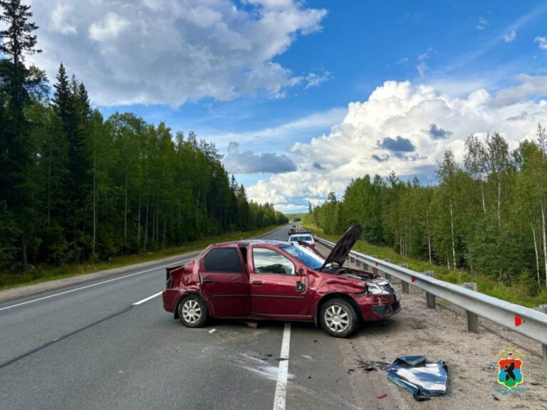 Фото: ГАИ Карелии