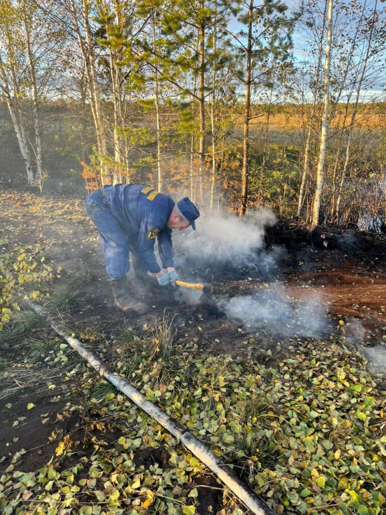 Торфяник вновь загорелся в Карелии