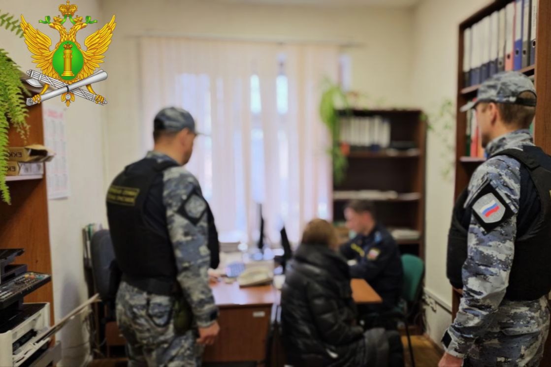 Жительница Карелии уклонялась от оплаты алиментов и следствия
