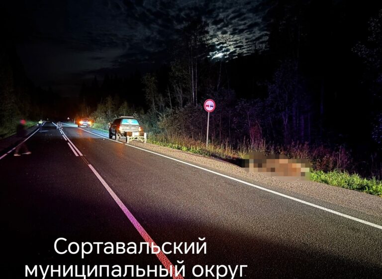 Фото: Госавтоинспекция Карелии