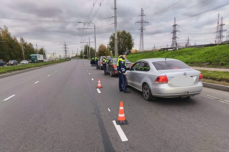 Фото: Госавтоинспекция Петрозаводска
