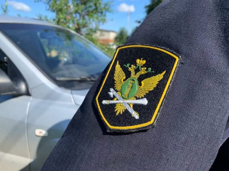 Долг по алиментам в 100 тысяч заставили погасить жителя Карелии