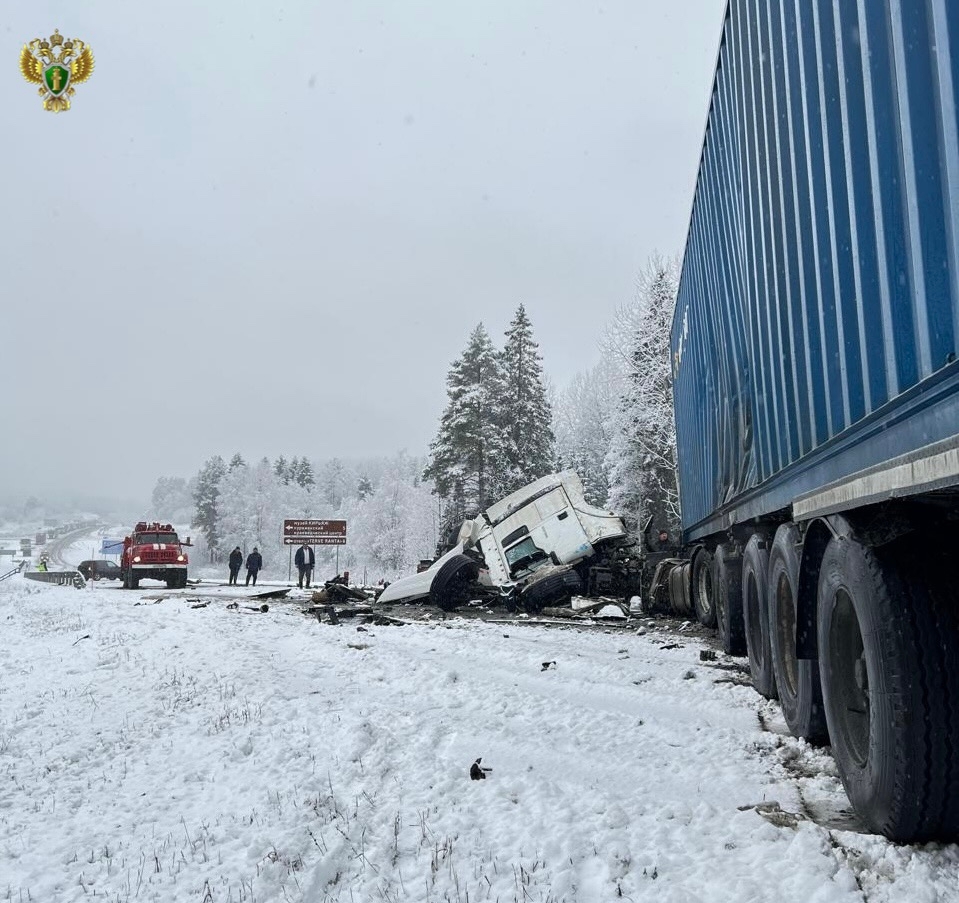 Появились новые подробности смертельной аварии в Карелии