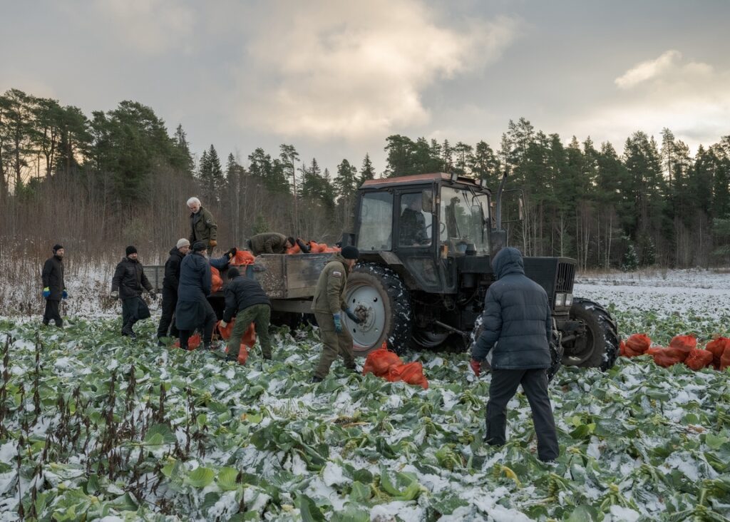 Последний урожай собрали на Валааме