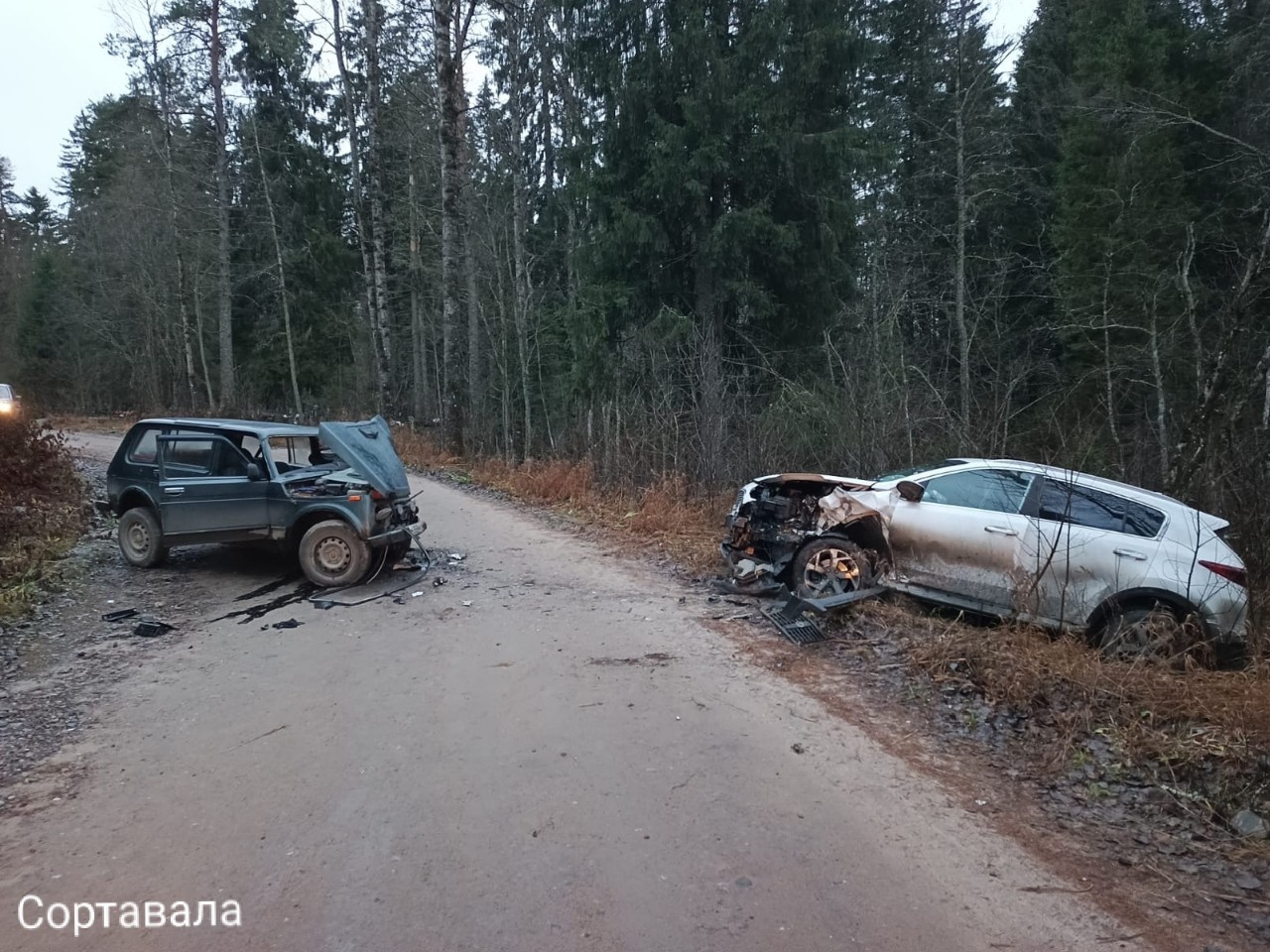 Фото: Госавтоинспекция Карелии