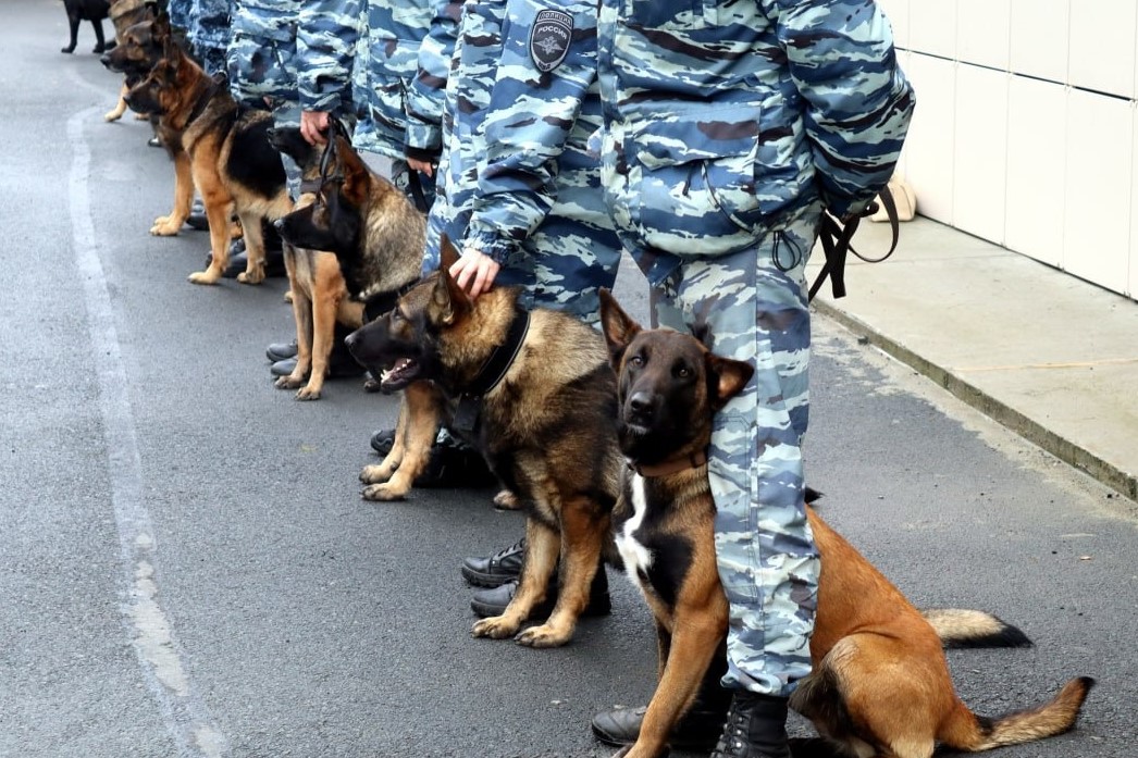 Фото: официальный паблик Республики Карелия / ВК