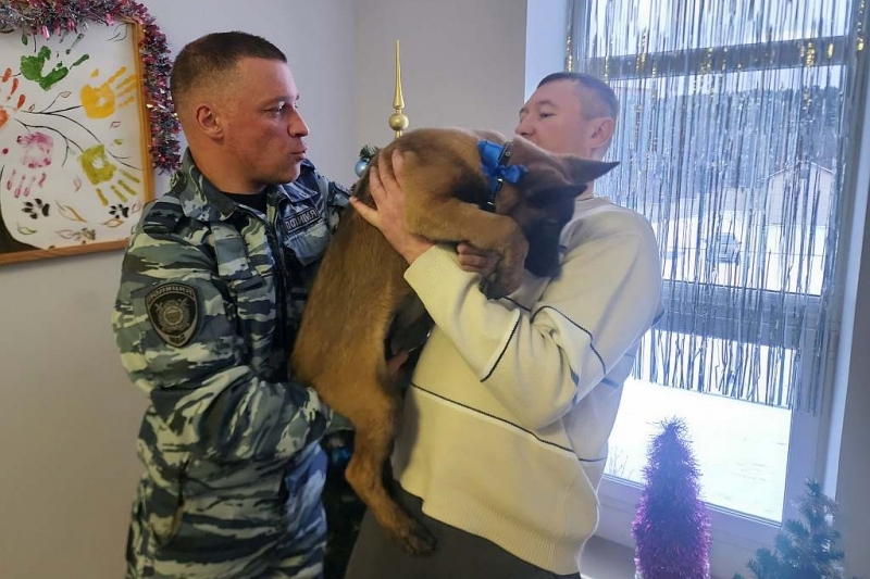 Полицейские Петрозаводска передали щенков на службу в Мордовию и в новый дом