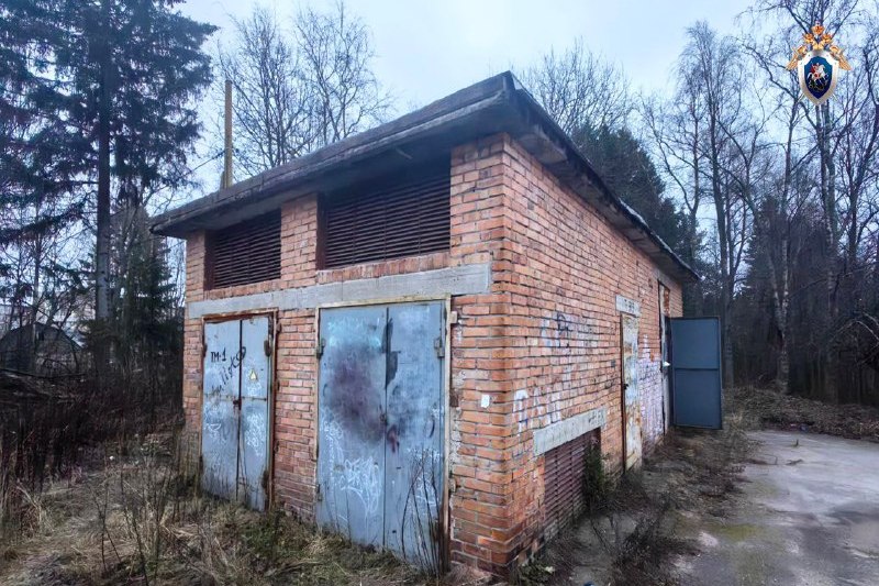 Мужчина погиб, выполняя работы в трансформаторной будке в Карели