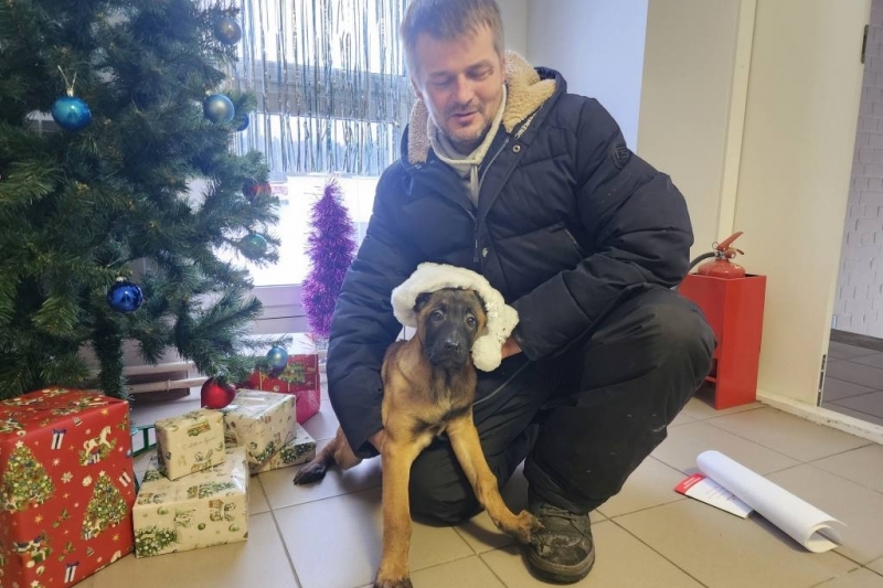 Полицейские Петрозаводска передали щенков на службу в Мордовию и в новый дом