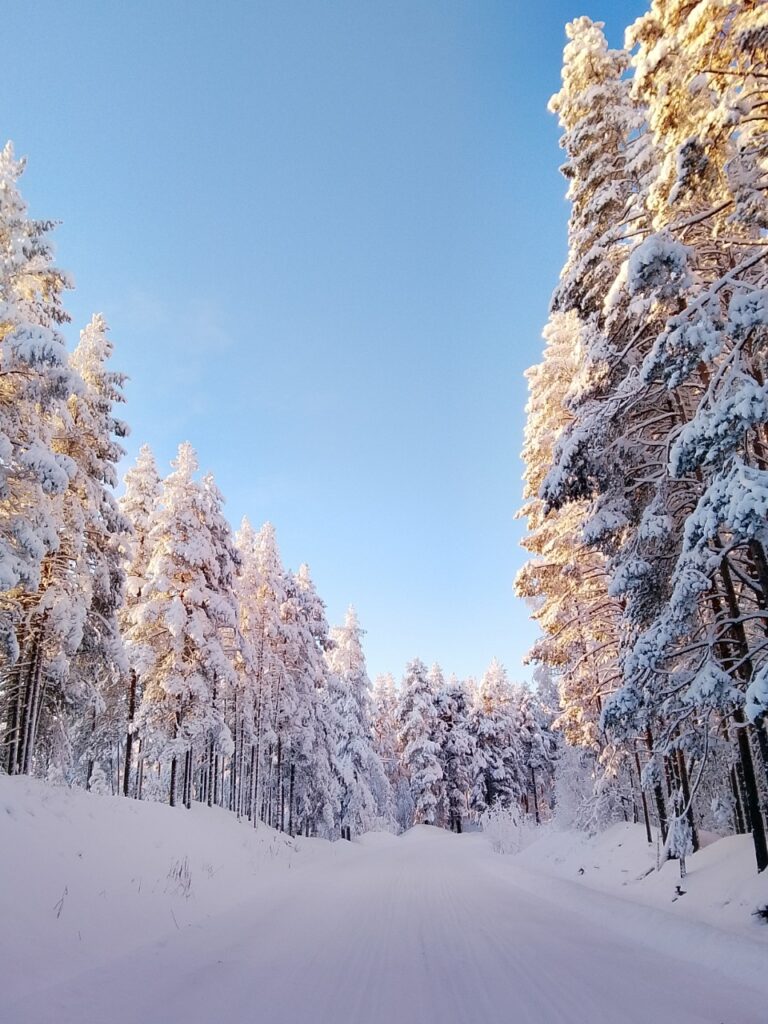 Фото: Влад Пантелеев/ВК