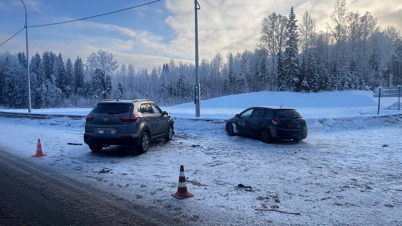 Фото: Госавтоинспекция Карелии