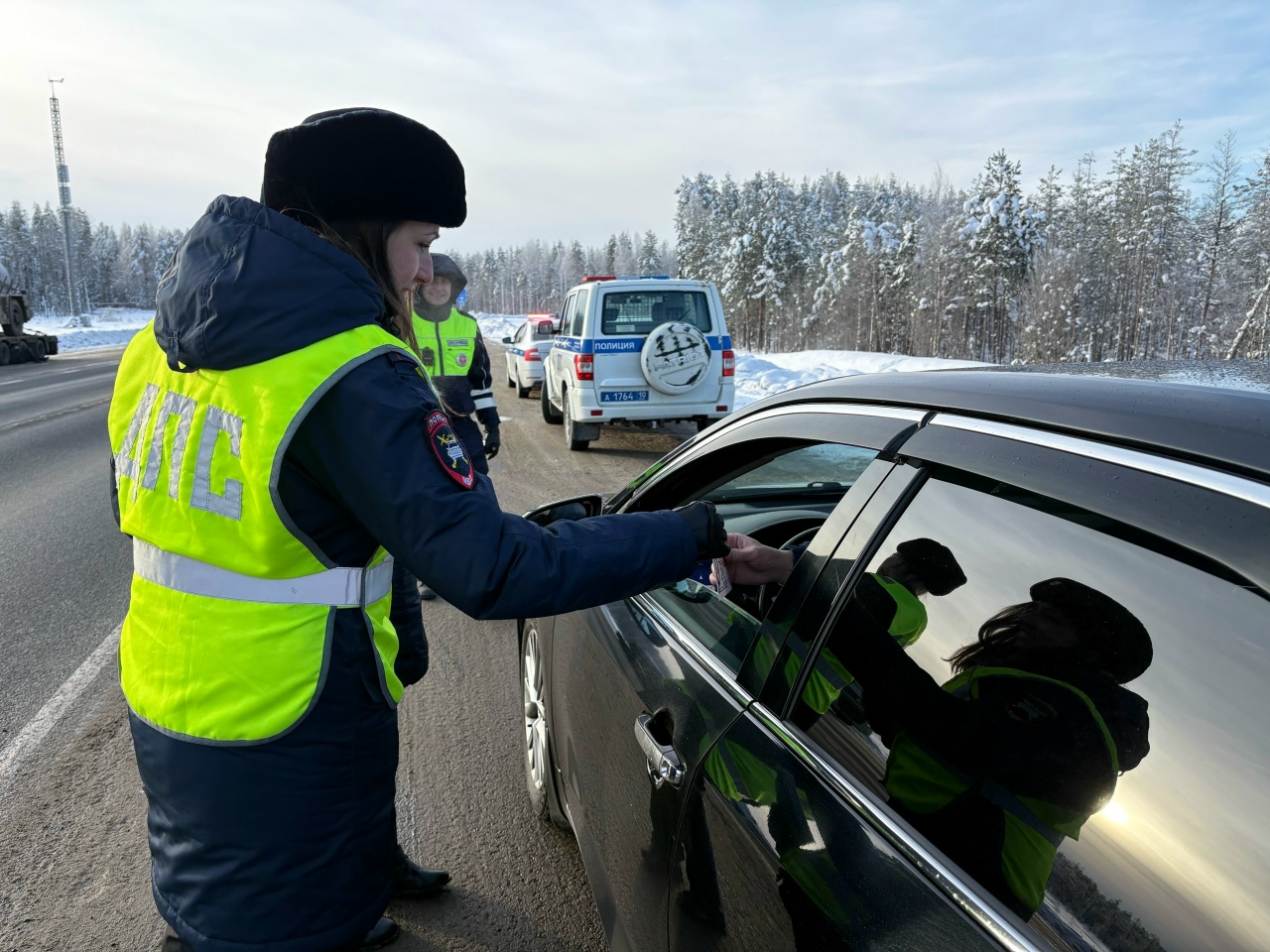 Сколько мужчин и женщин попадает в аварии, посчитала Госавтоинспекция Карелии
