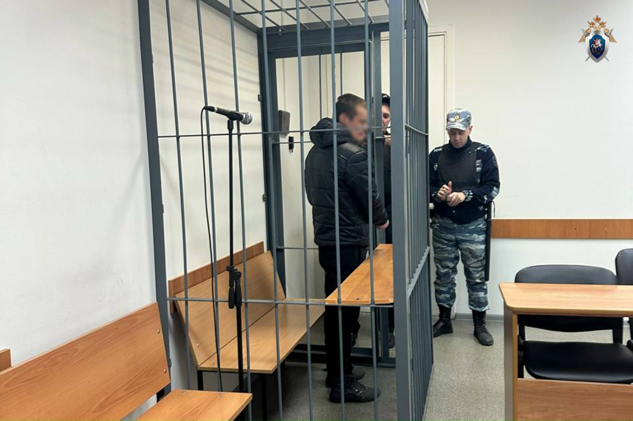 В Петрозаводске местный житель признан виновным в убийстве