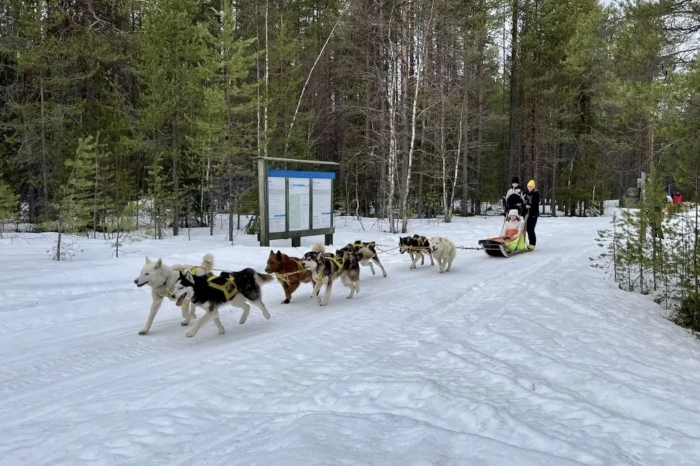 Фото: Минприроды Карелии