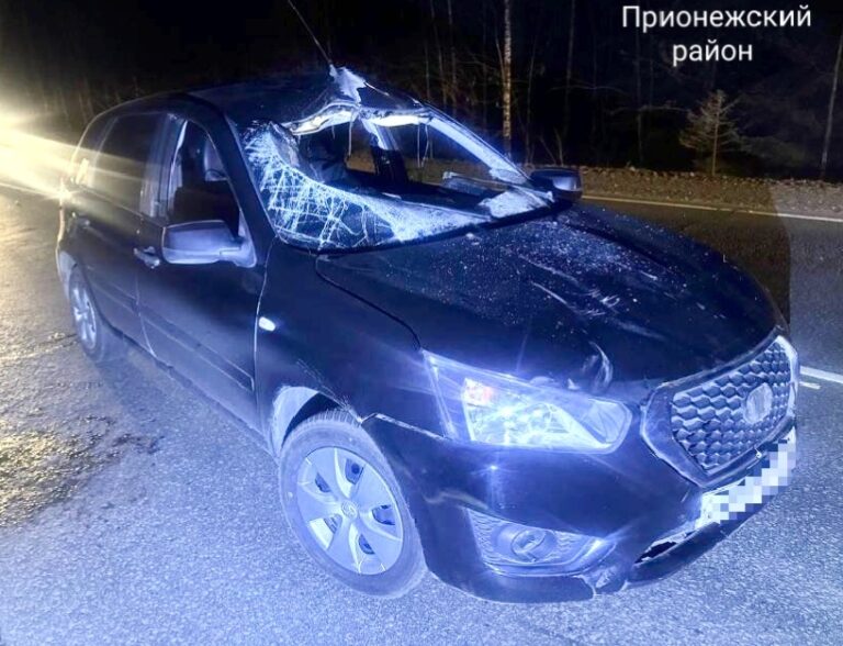 Фото: Госавтоинспекция Карелии