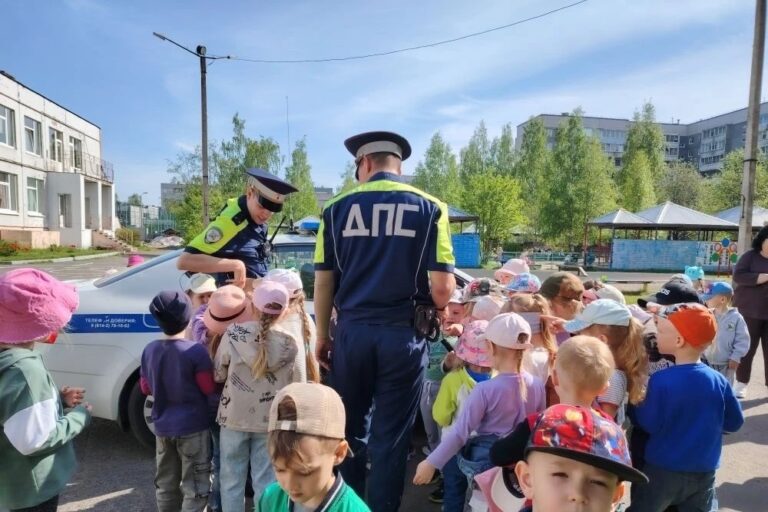 Фото: Госавтоинспекция Карелии