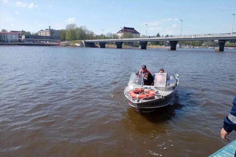 Змеи окружили ребенка в Карелии