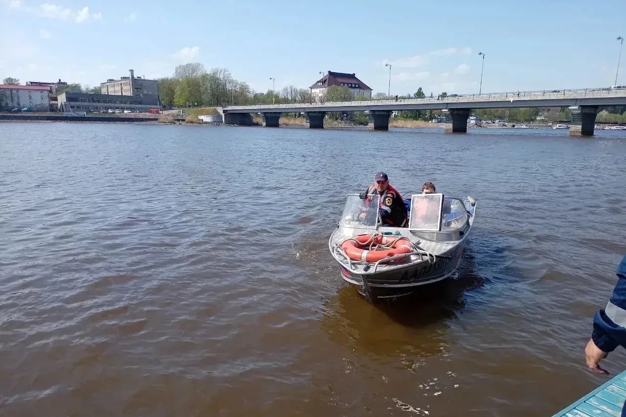 Змеи окружили ребенка в Карелии