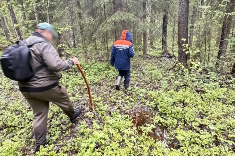 Турист из Москвы заблудился в районе Ботанического сада