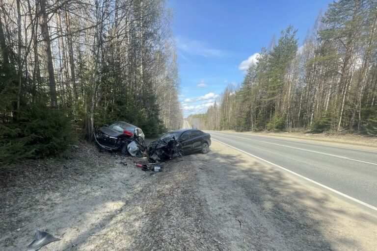 Появились подробности лобовой аварии в Карелии