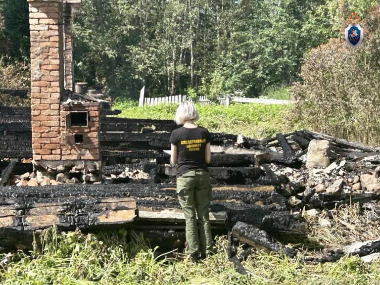 Фото: СУ СК России по Республике Карелия / VK