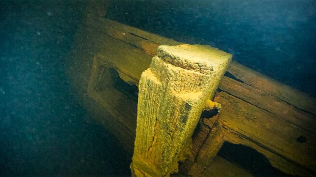 Фото: подводный клуб «Диво»