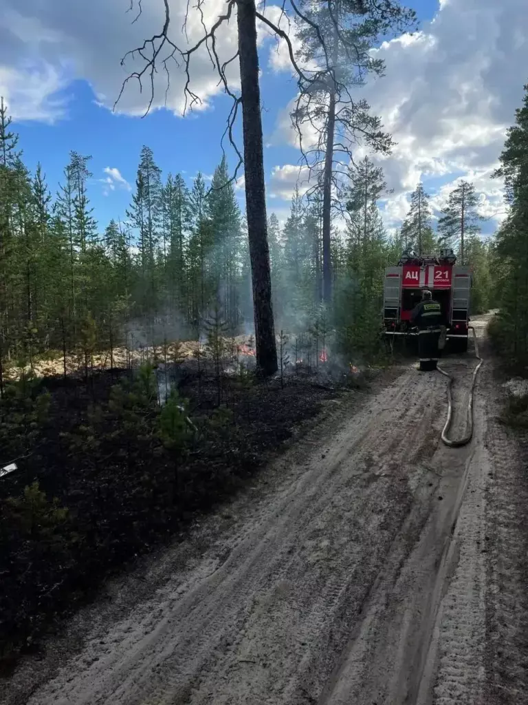 Спасатели потушили пожар, угрожавший поселку Карелии